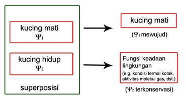diagram - DK_schrodCat